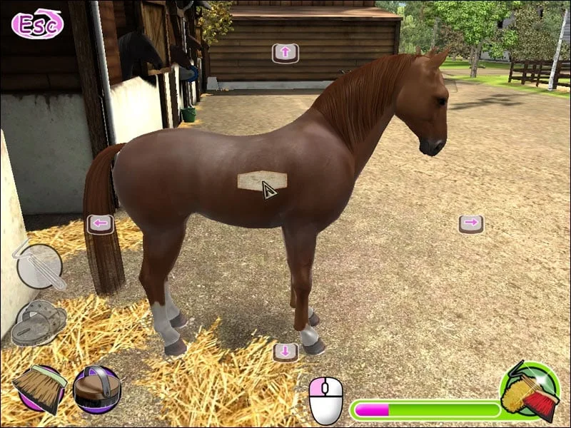 My Gallops 3D — 2