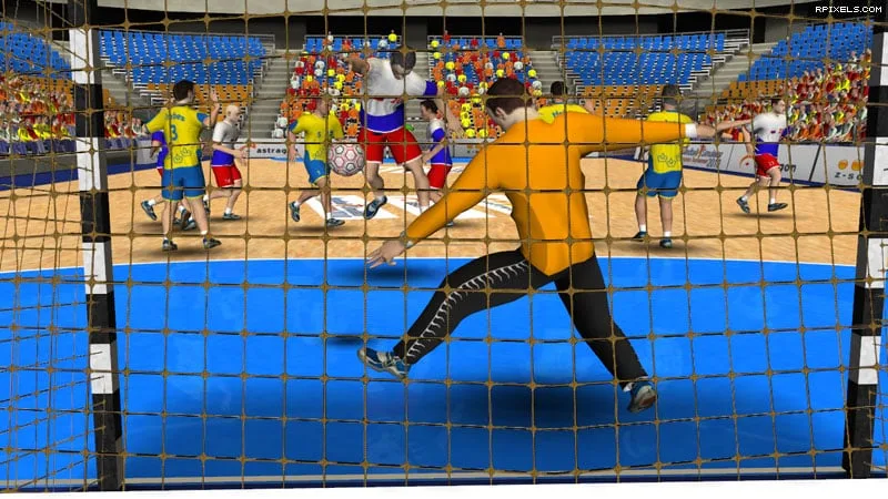 Handball-Simulator: European Tournament 2010 — 1