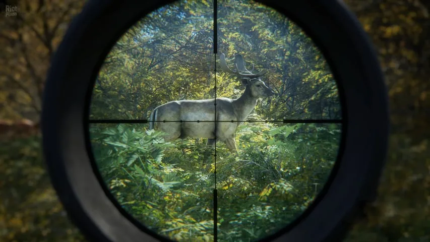 theHunter Call of the Wild по сети — 2