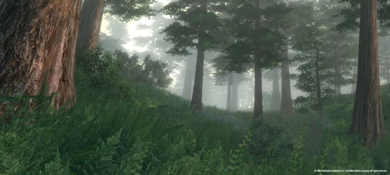 The Elder Scrolls 4: Oblivion Game of the Year Edition — 1