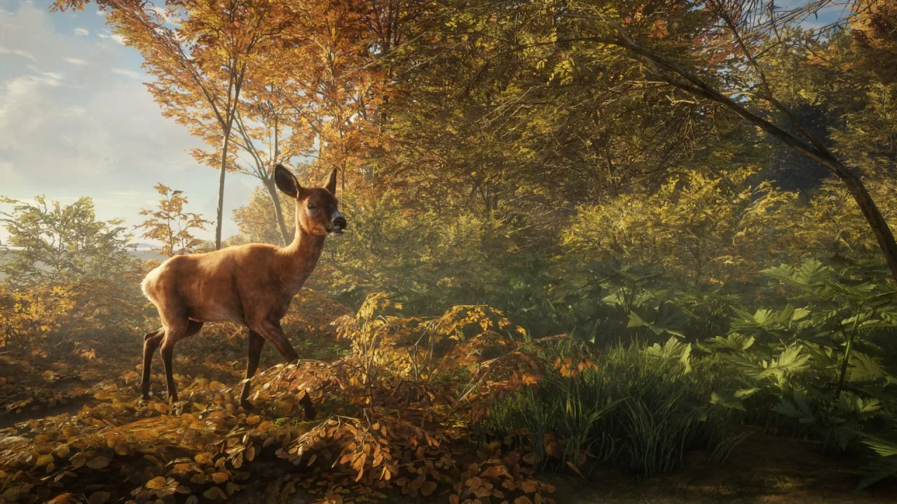 theHunter: Call of the Wild — 12