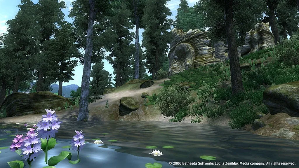 The Elder Scrolls 4: Oblivion Game of the Year Edition — 3