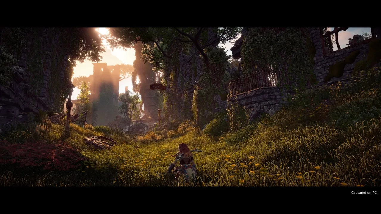 Horizon Zero Dawn Complete Edition — 5