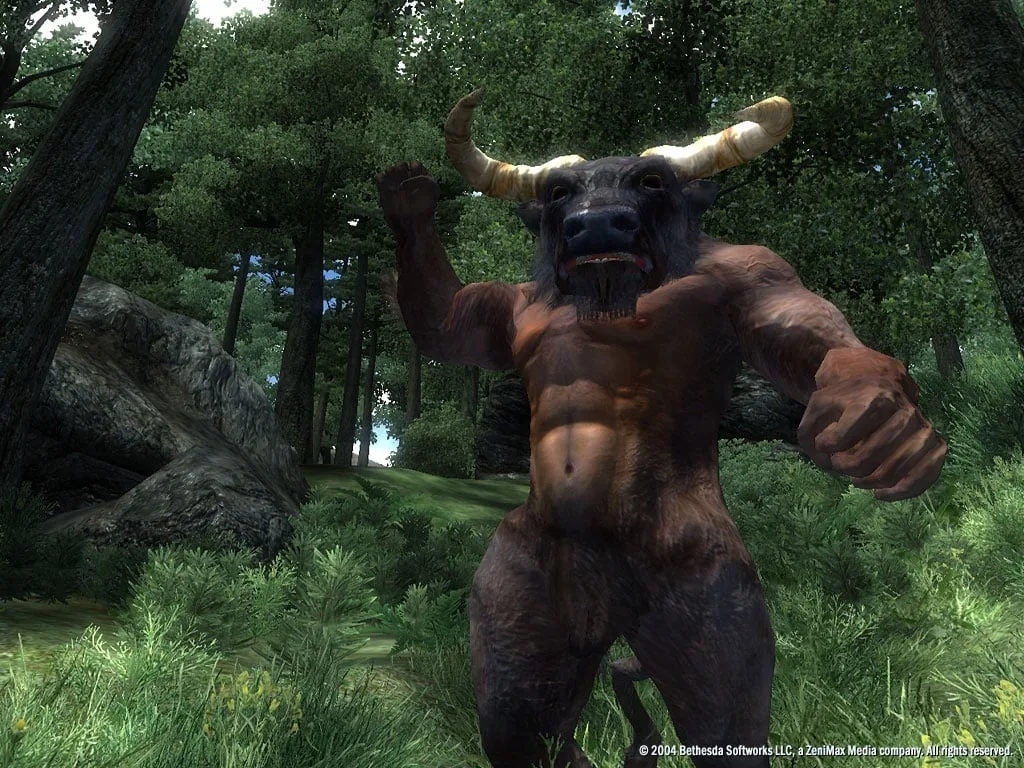 The Elder Scrolls 4: Oblivion Game of the Year Edition Deluxe — 7