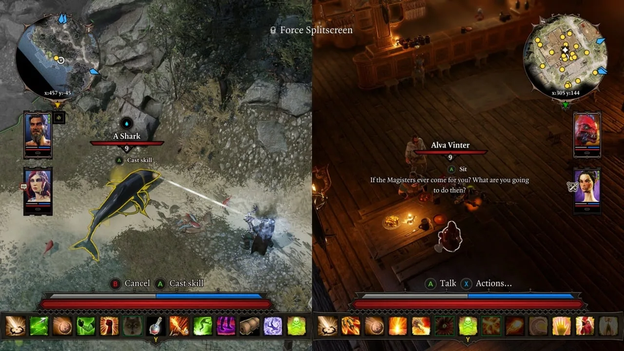 Divinity: Original Sin 2 - Definitive Edition — 6