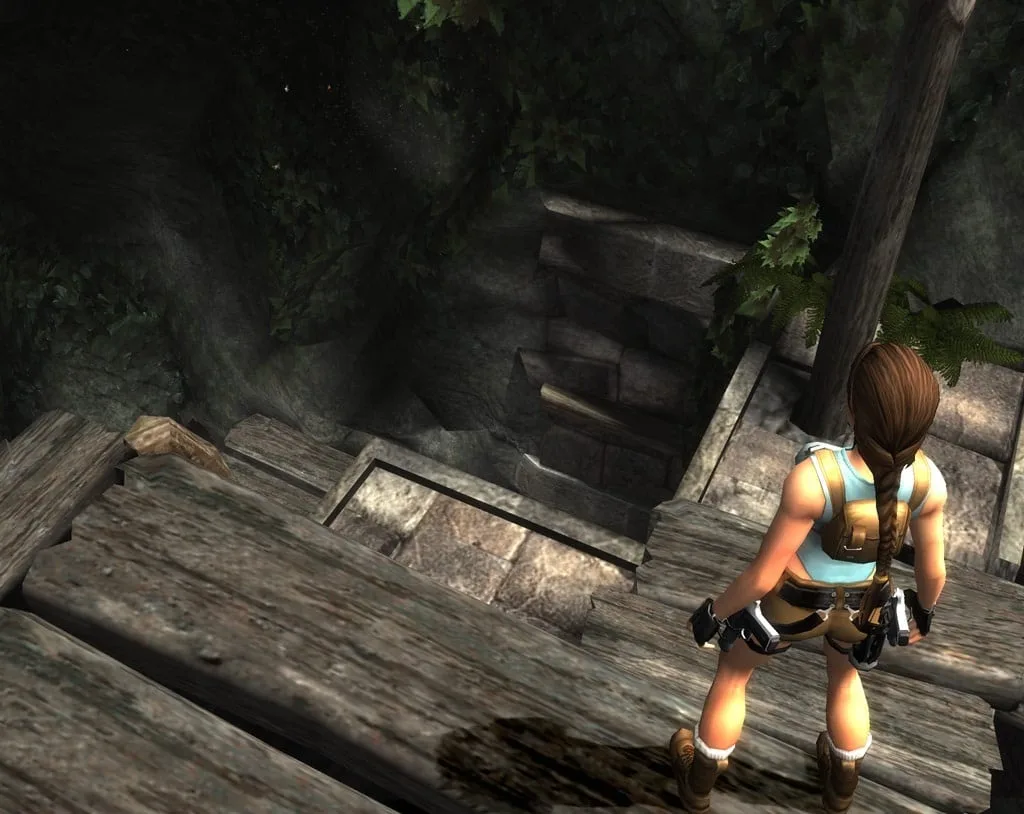 Tomb Raider: Anniversary — 4