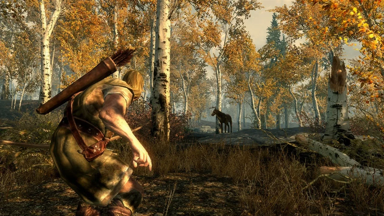 The Elder Scrolls 5: Skyrim — 5