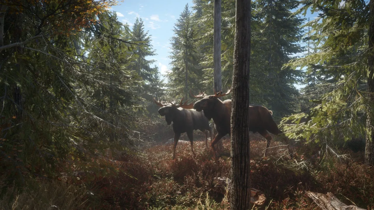 theHunter: Call of the Wild — 1