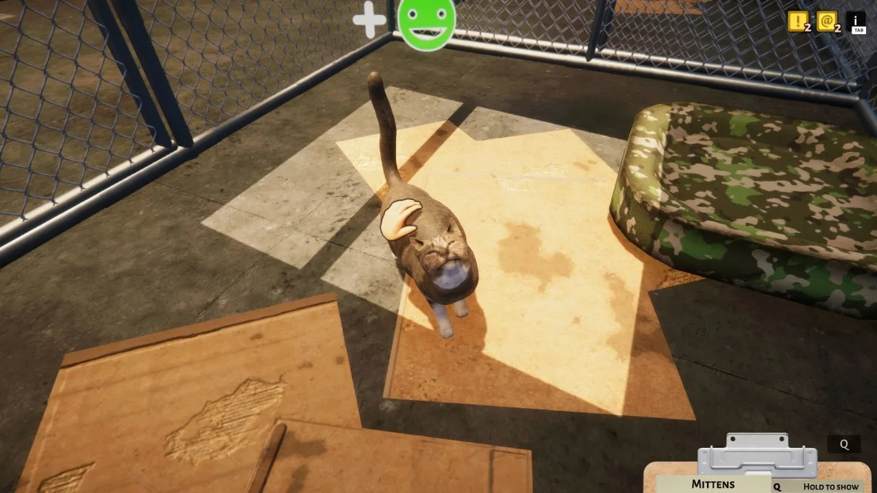 Animal Shelter — 12
