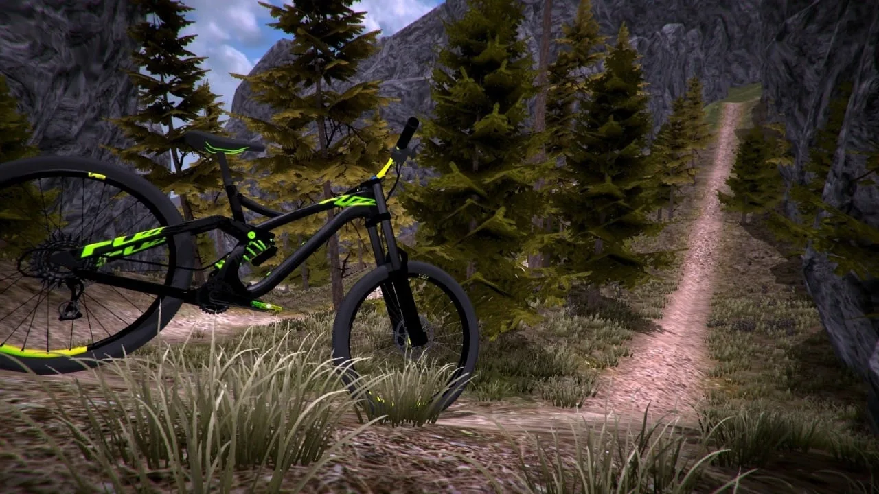 MTB Downhill Simulator — 8