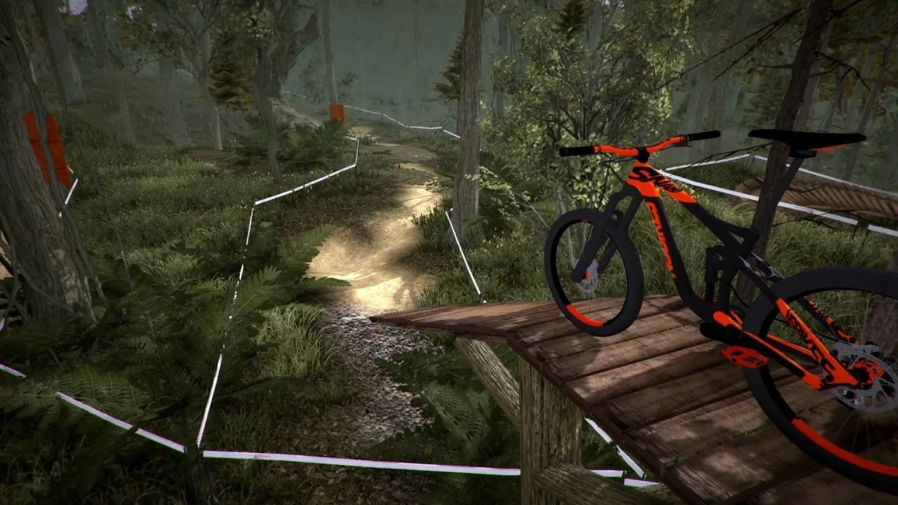 MTB Downhill Simulator — 6