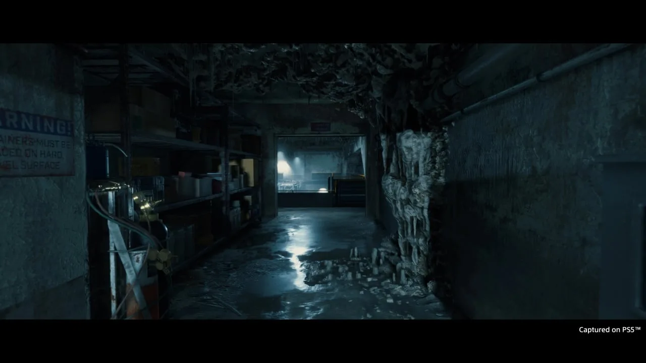 DEATH STRANDING DIRECTOR'S CUT — 10