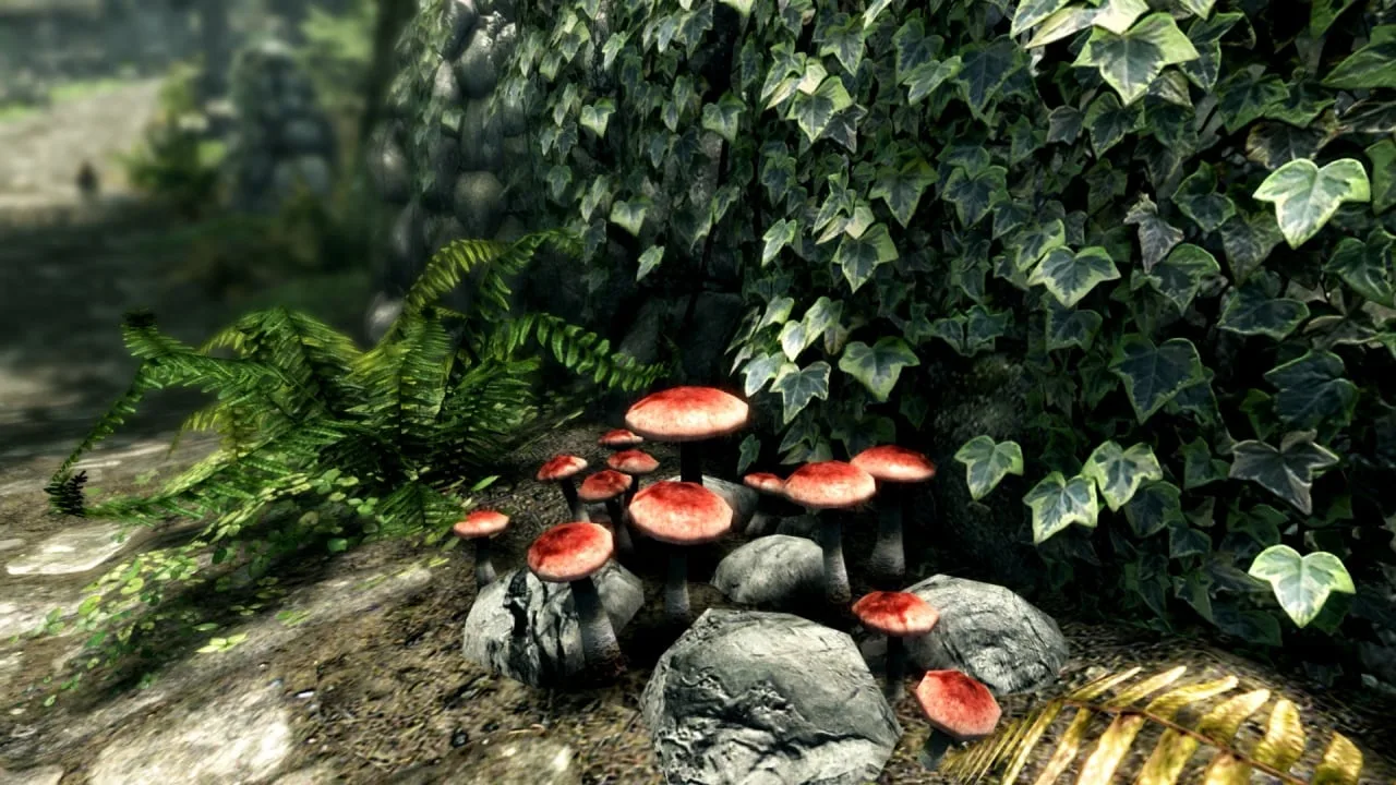 The Elder Scrolls 5: Skyrim Special Edition — 6