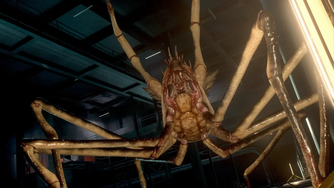 SCP: 5K — 11