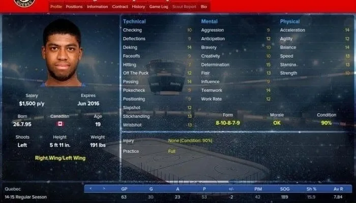 Ice Hockey Manager 2009 — 1