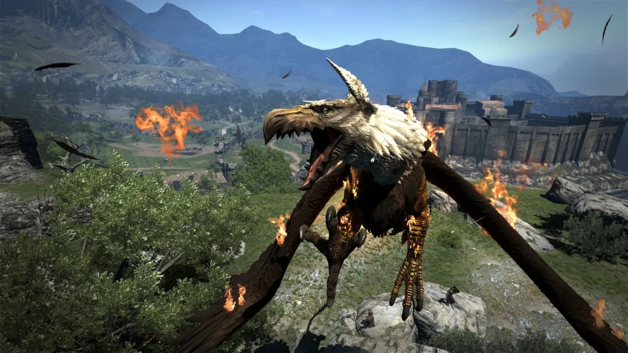 Dragon's Dogma: Dark Arisen — 9