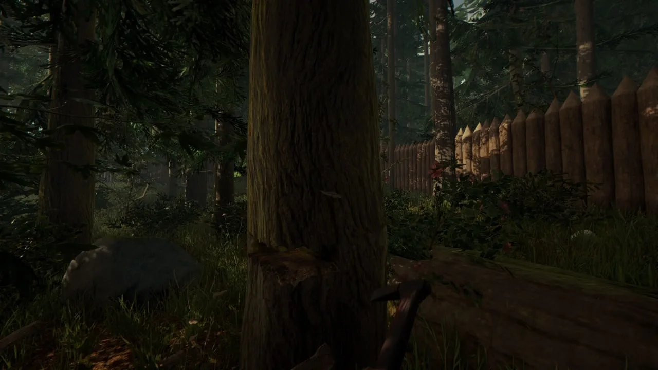 The Forest — 7