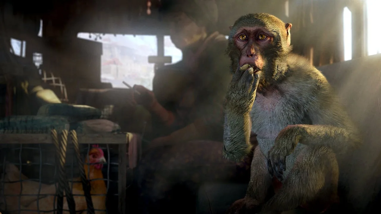 Far Cry 4 — 3