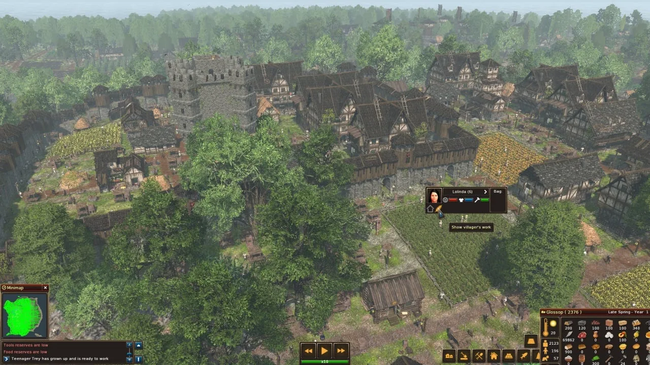 Life is Feudal: Forest Village — 2