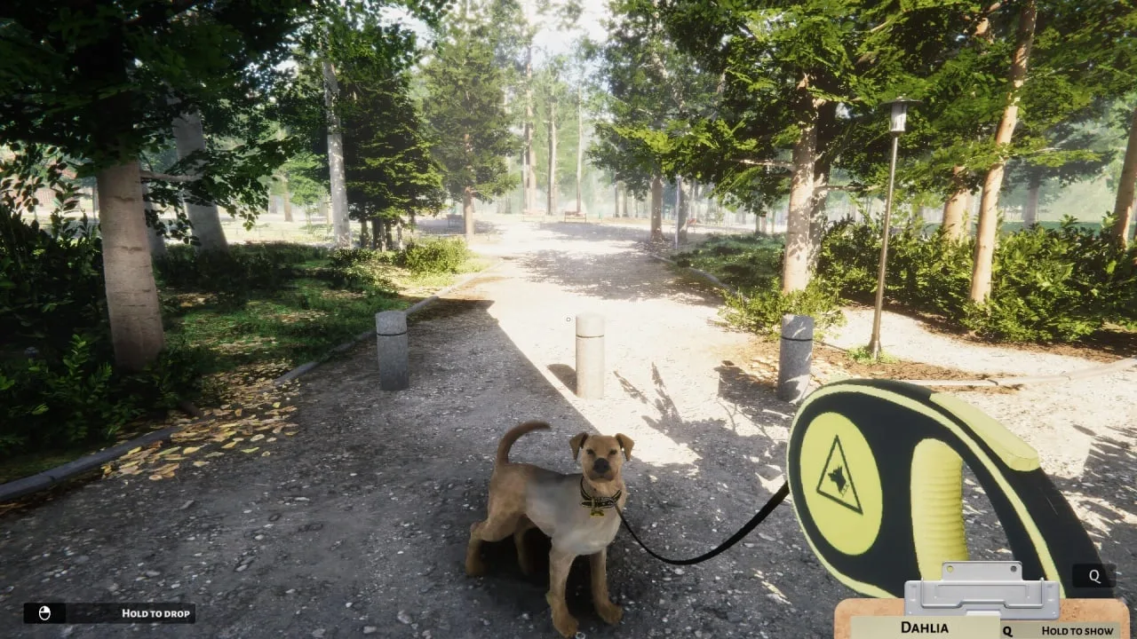 Animal Shelter — 1