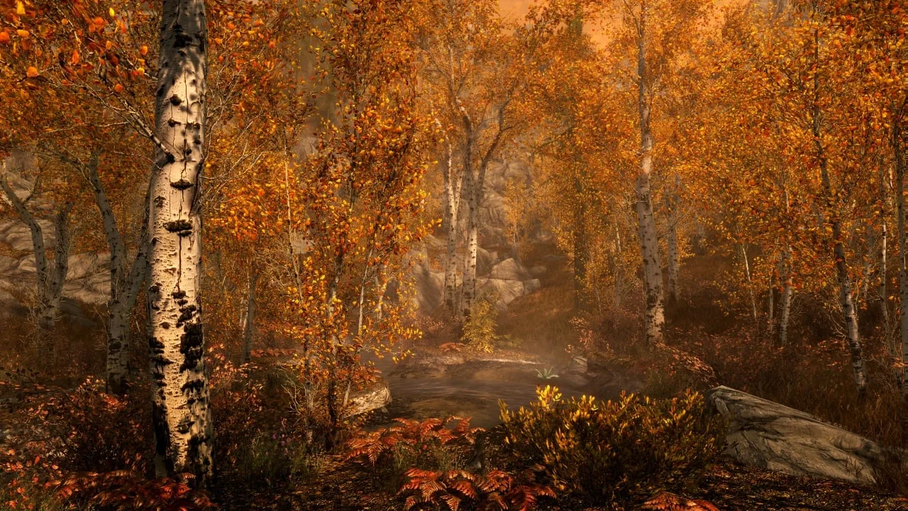 The Elder Scrolls 5: Skyrim Special Edition — 3