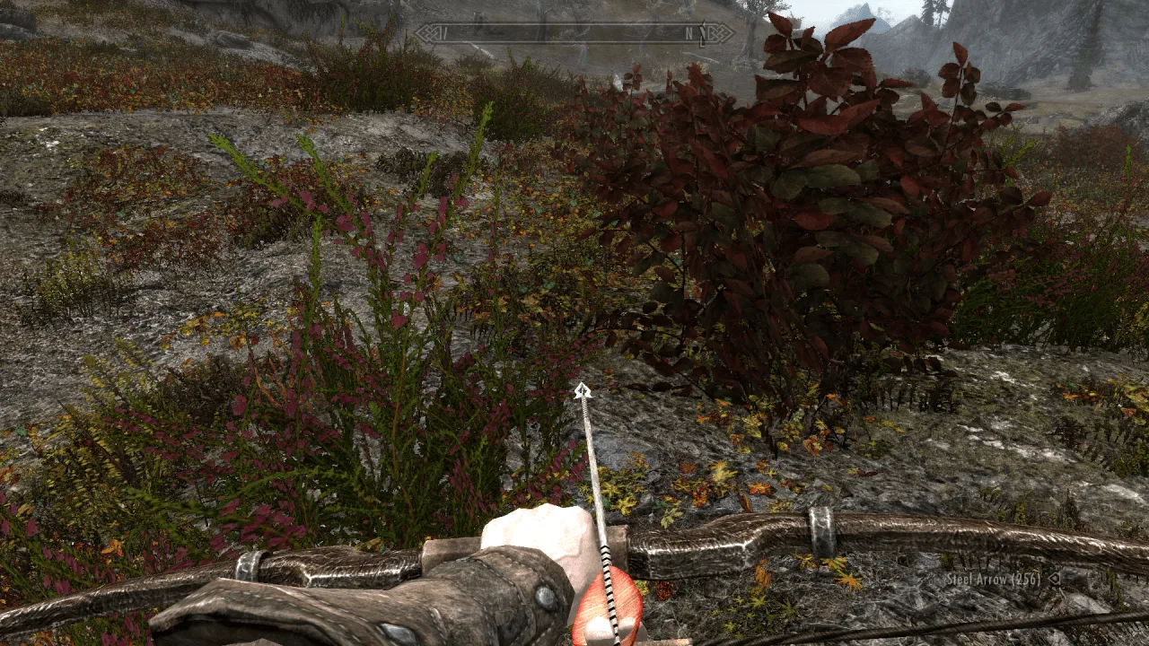 The Elder Scrolls 5: Skyrim Special - MarkMk2 Modpack — 7