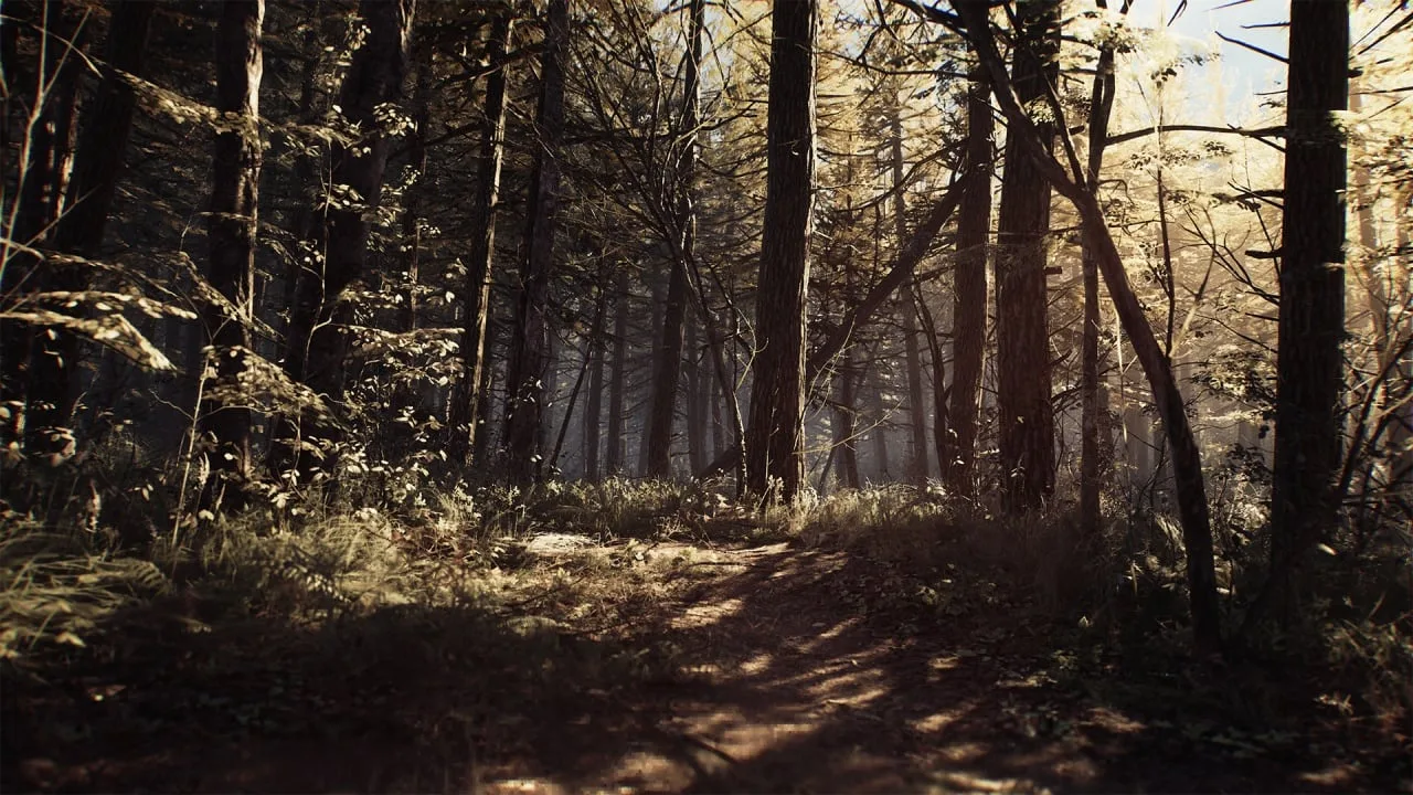 Blair Witch — 3