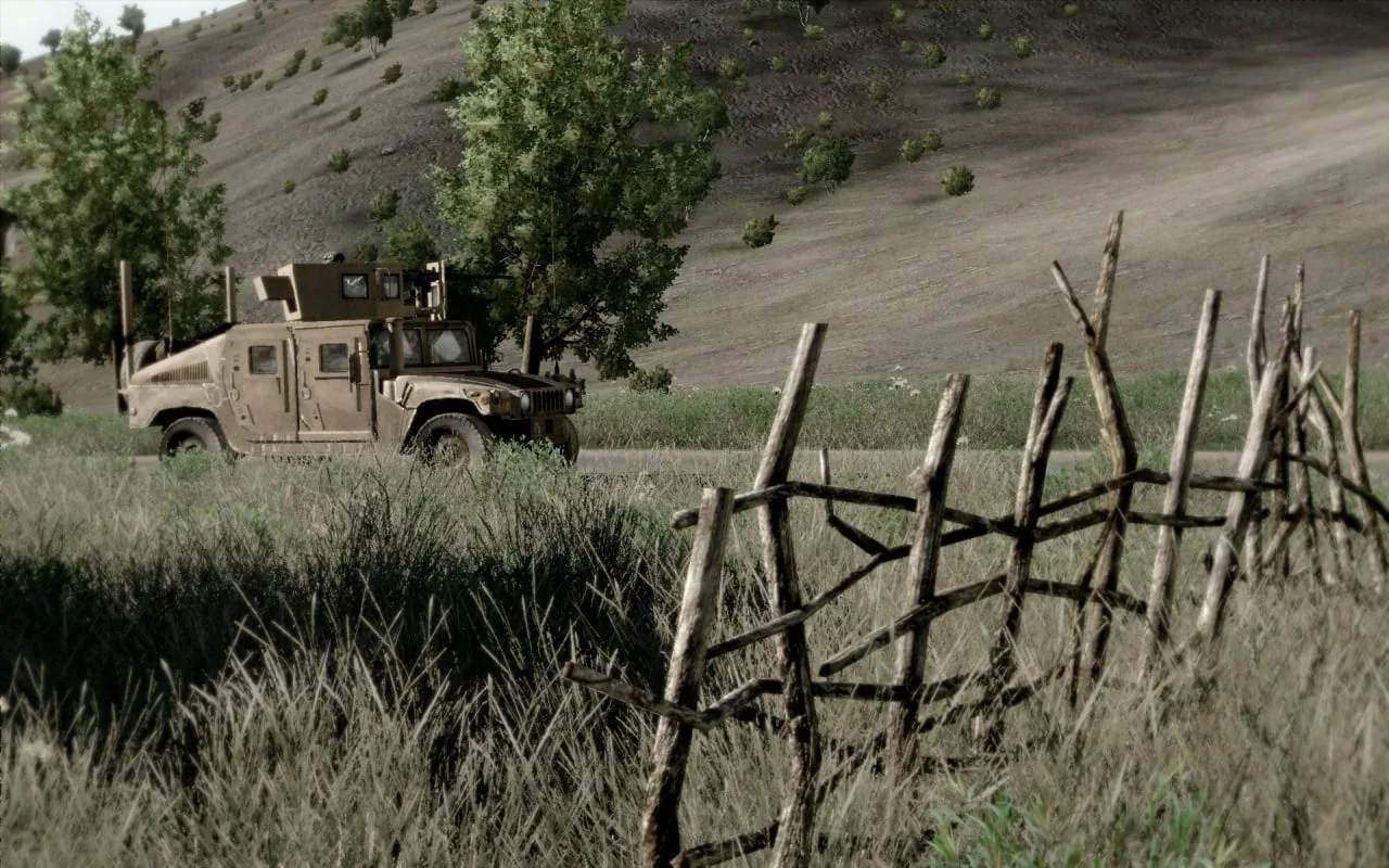 Arma 2: Operation Arrowhead — 10