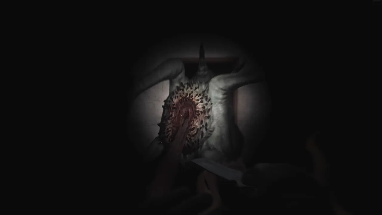 SCP: 5K — 2