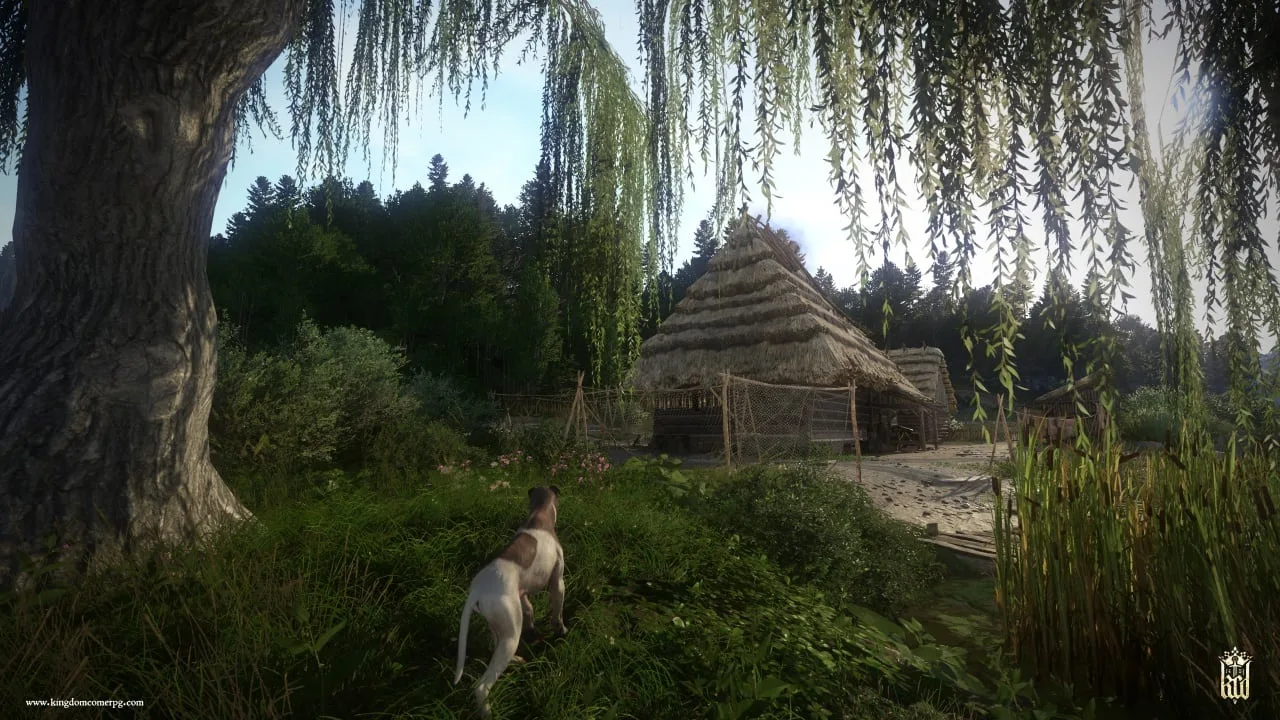 Kingdom Come: Deliverance — 7