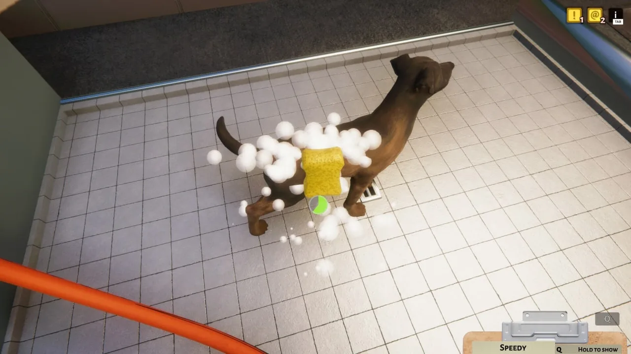 Animal Shelter — 2