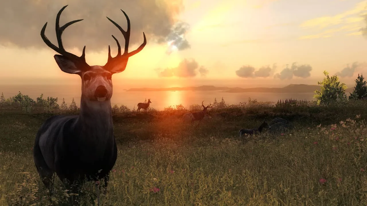 theHunter Classic — 3