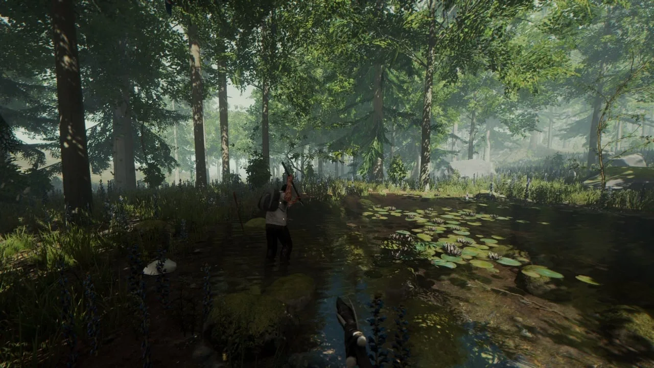 The Forest — 6
