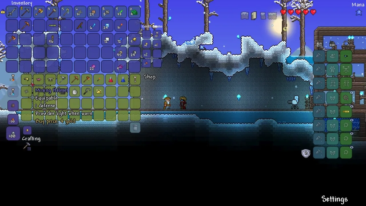 Terraria — 9