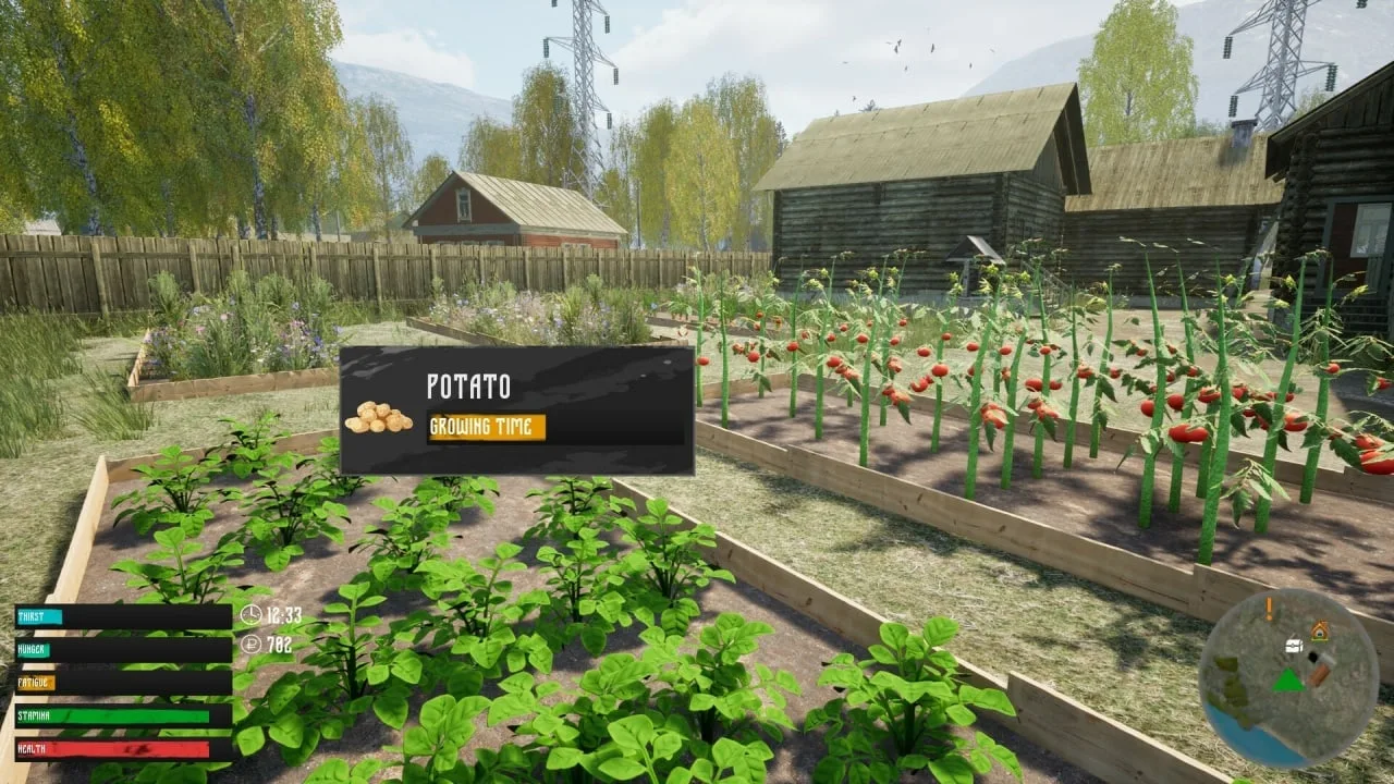 russian Village Simulator — 5