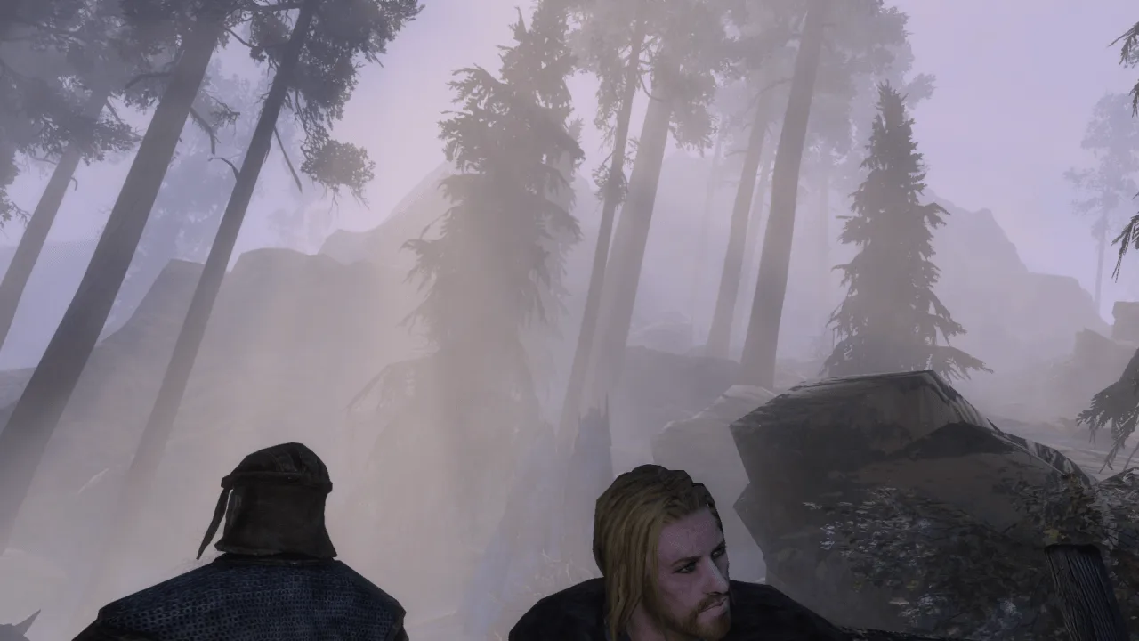 The Elder Scrolls 5: Skyrim Special - MarkMk2 Modpack — 4
