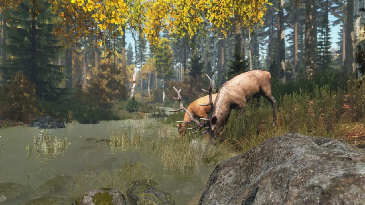 DayZ — 6