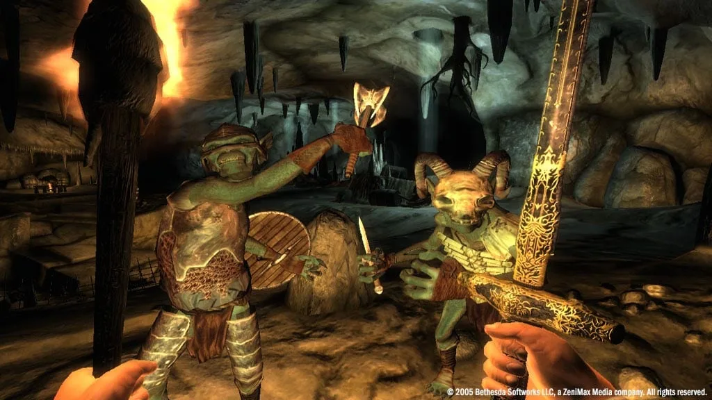 The Elder Scrolls 4: Oblivion Game of the Year Edition — 8