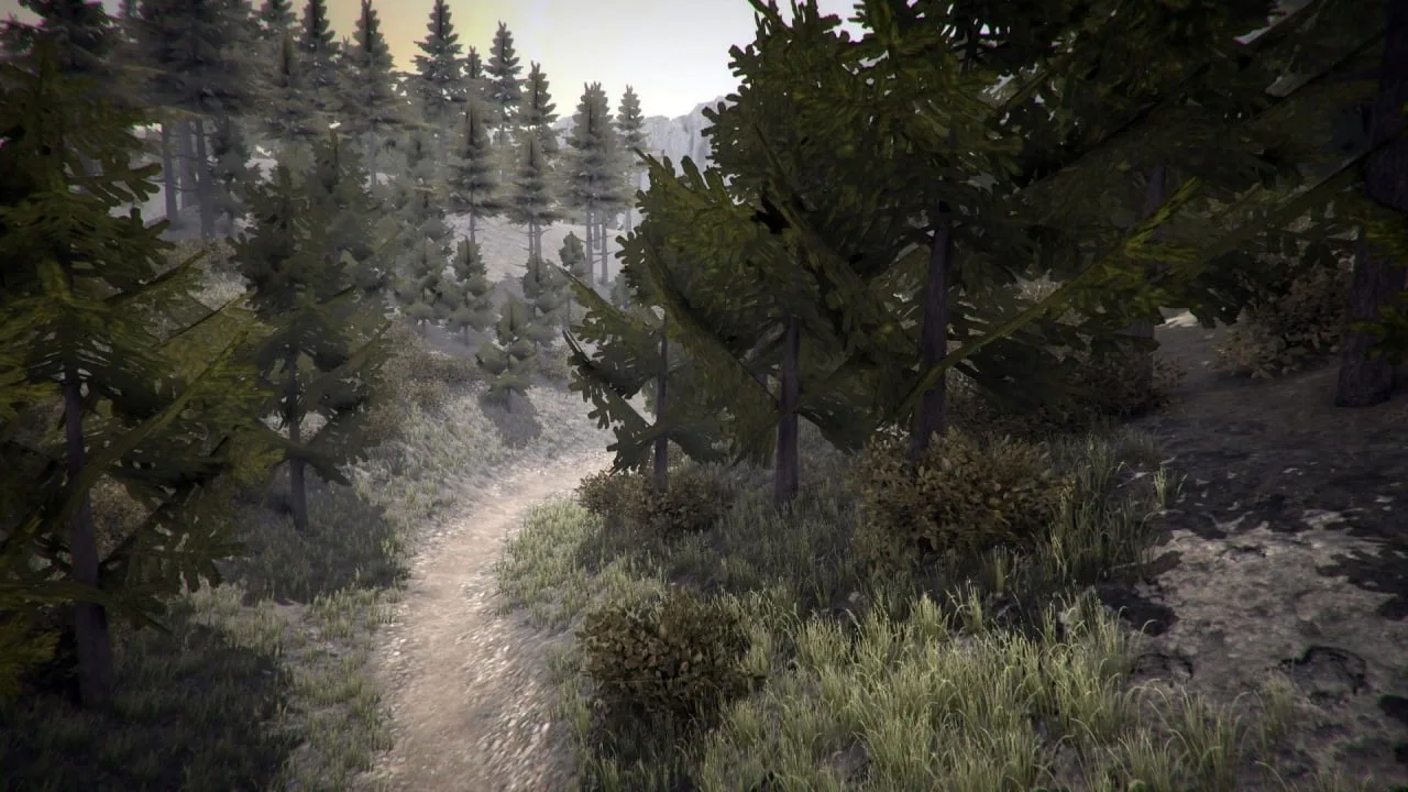 MTB Downhill Simulator — 5