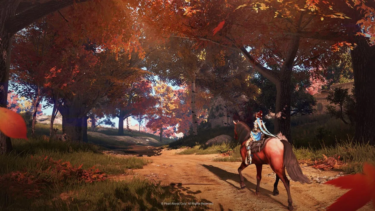 Black Desert — 5