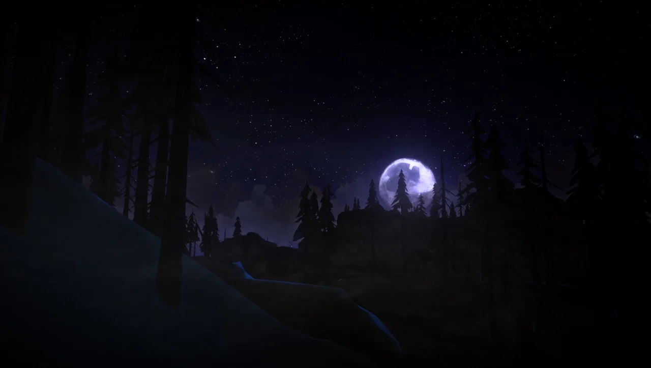 The Long Dark — 11