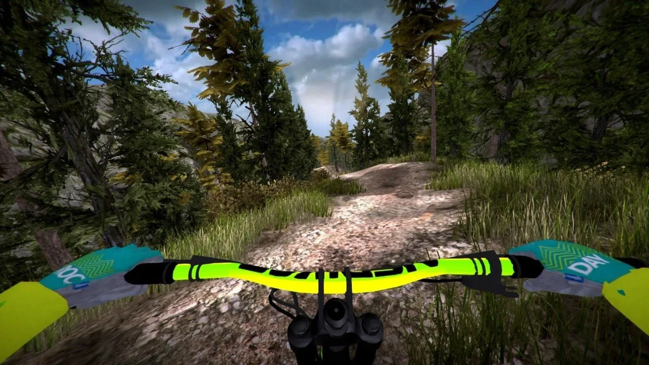 MTB Downhill Simulator — 4