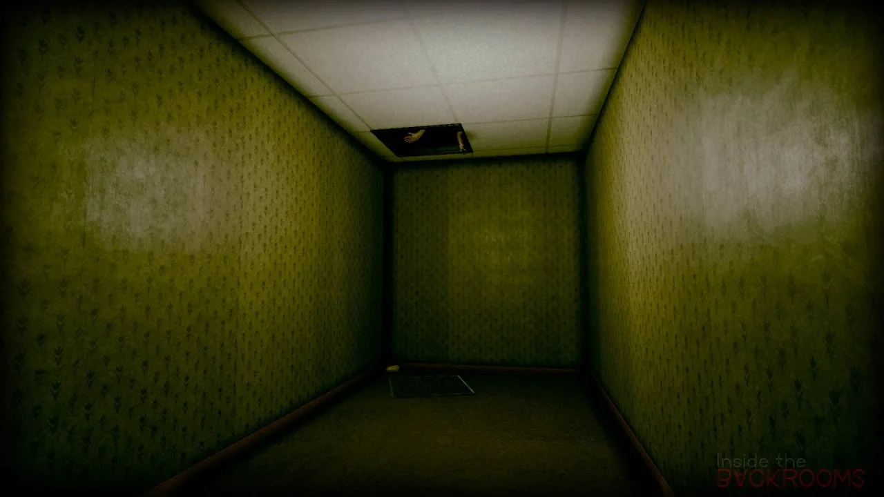 Inside the Backrooms по сети — 3