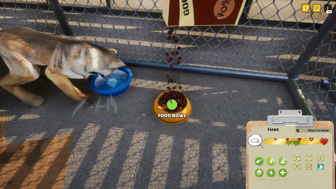 Animal Shelter — 8