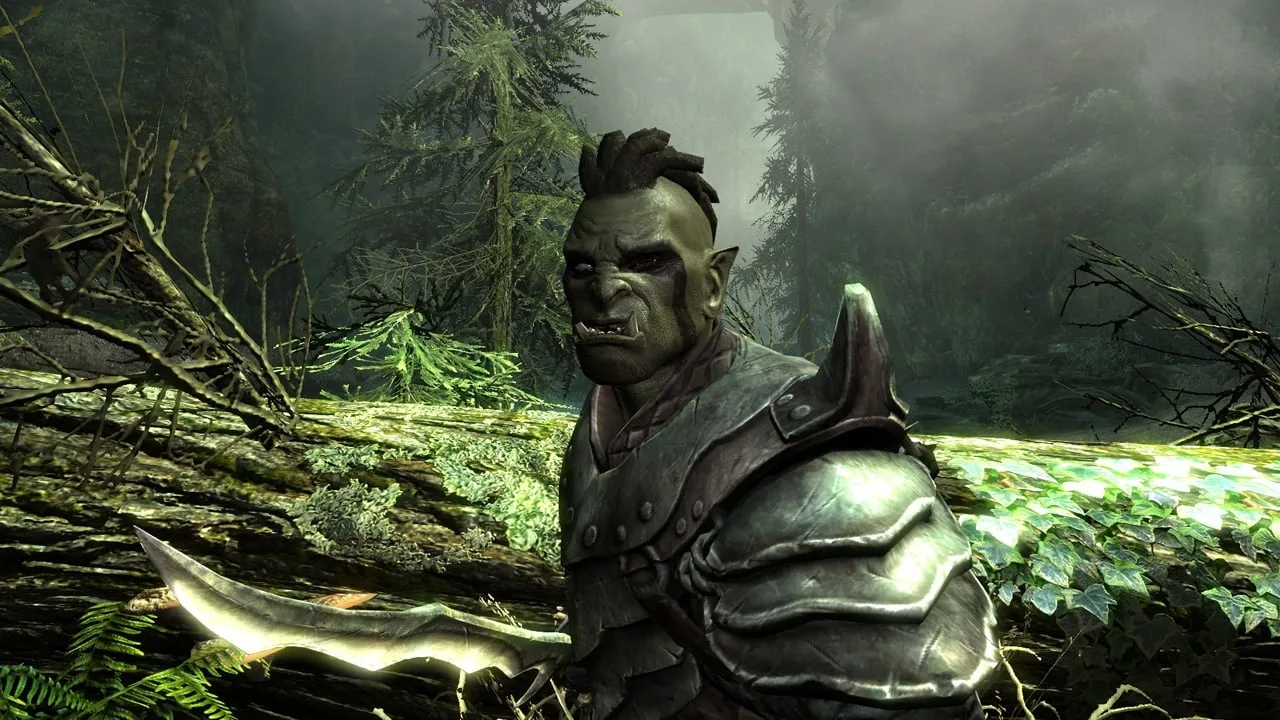 The Elder Scrolls 5: Skyrim — 12