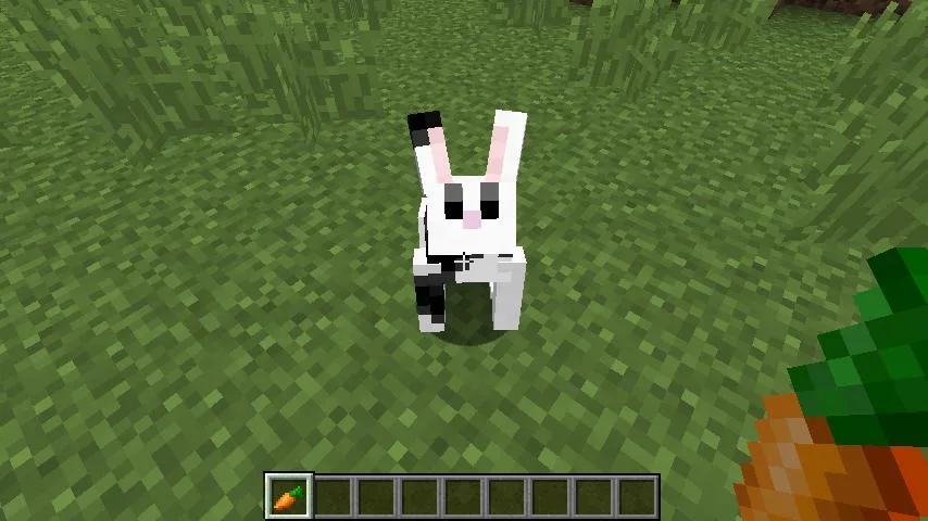 Minecraft — 5