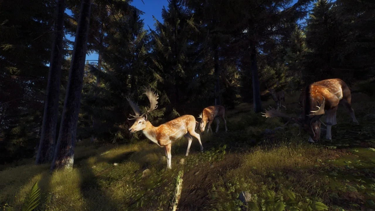 Way of the Hunter — 2