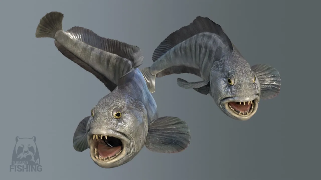 Russian Fishing 4 — 5