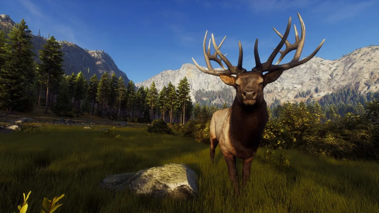 Way of the Hunter — 1