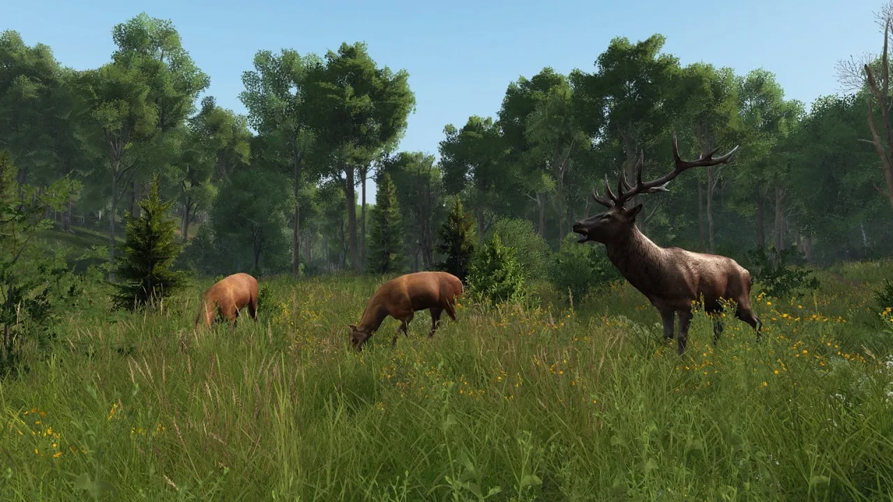 DayZ Livonia — 6